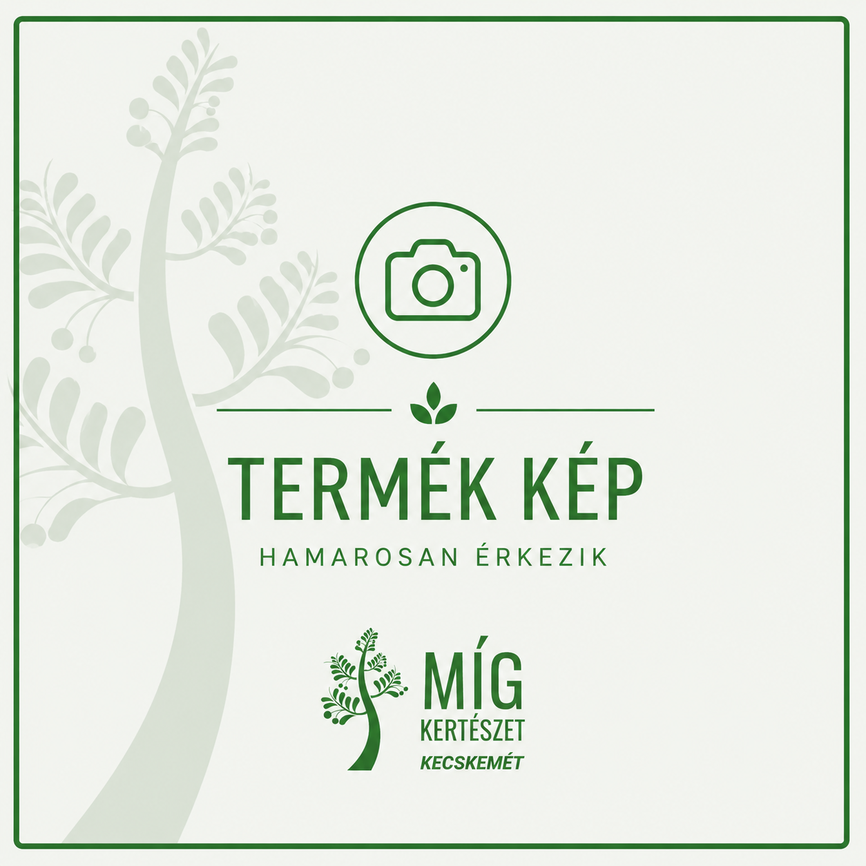 Míg kollekció