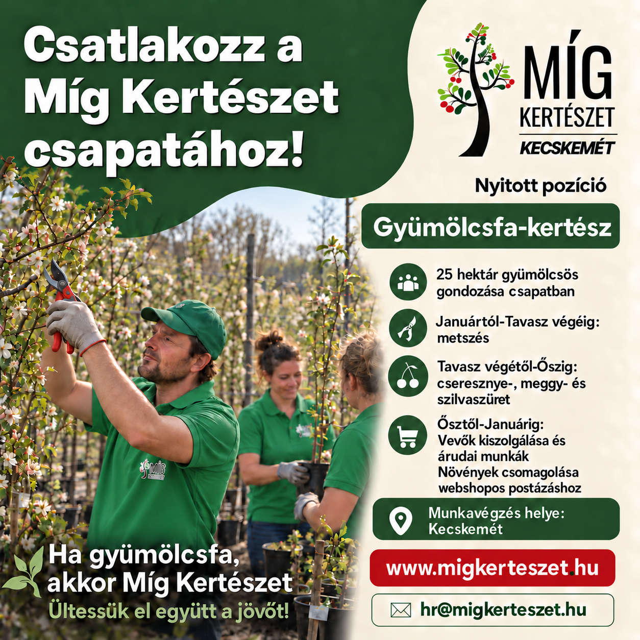 Gyümölcsfakertész