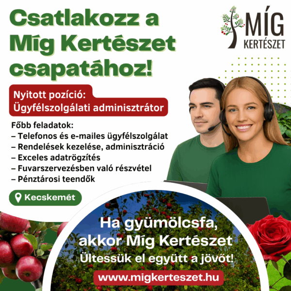 Ügyfélszolgálati adminisztrátor