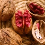 Piros belű dióoltvány