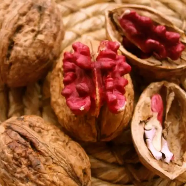 Piros belű dióoltvány