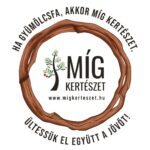 'Kecskeméti rózsabarack' kajszibarackfa