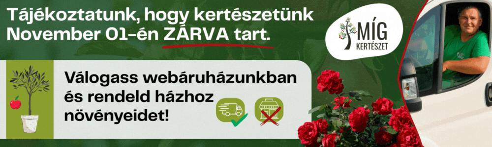 Nyári kiszállítási szünet (1)